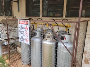 WhatsApp Image 2025-10-01 at 09.32.48 (3)